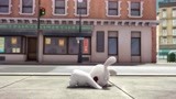 兔子在街边玩耍 你们不能乱扔垃圾啊