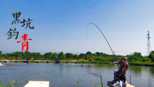 v_152428294_m_601_220_124.jpg