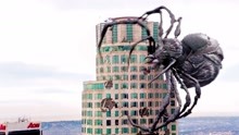 巨型蜘蛛霸占大楼产卵