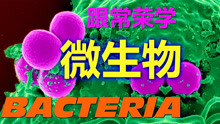 Bacteria 11 Bodys defenses 人体防御 跟常荣学微生物学 中文 4K