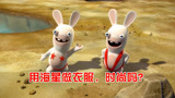 疯狂的兔子：用海星做成的比基尼，兔子玩起了时尚走秀