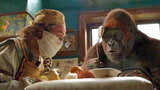 多力特的奇幻冒险：钢铁侠退役当兽医，精通动物语言，猩猩当助理