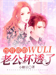 蚀骨暖婚：wuli老公坏透了