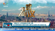 《看武汉》系列高峰论坛第八期 龙永图寄语武汉城市发展 邀约企业家们来汉投资兴业