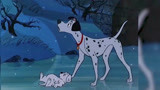 101斑点狗：狗狗的智商极高，故意不走雪地，还成功骗过狗贩子