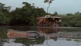 狂蟒之灾2：本以为河里只有鳄鱼，谁想还有一条大巨蟒，太可怕