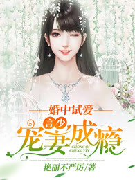婚中试爱：言少宠妻成瘾