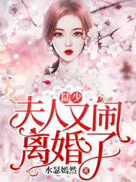 陆少，夫人又闹离婚了