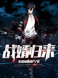 战婿归来