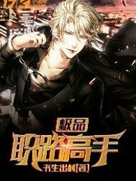 极品职路高手