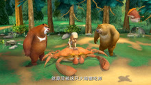 熊出没：肥波没有被大螃蟹吃掉，强哥太激动了，抱着它猛亲