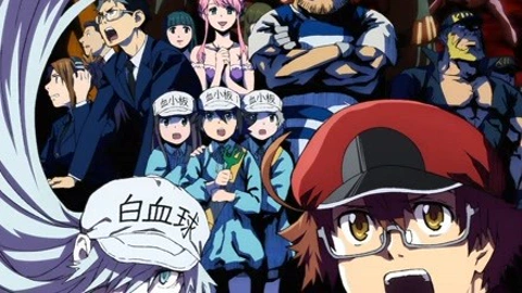 Az on X: Hataraku Saibou Black (TV) / Cells at Work! CODE BLACK! Ep 13  #HatarakuSaibouBlack #cellsatworkblack  / X