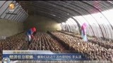 酒泉：稳保就业  打造劳务输转新模式