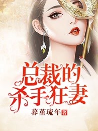 总裁的杀手狂妻