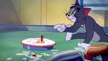 猫和老鼠：这猫咪喝醉酒真胆大啊！连主人都敢惹，不想活了？