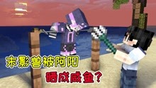 [图]MC流浪者日记19：末影兽被阿阳晒成咸鱼？流浪者小队的真正任务！