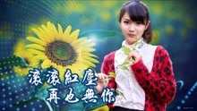 [图]唯美情歌,一首《滚滚红尘再也无你》曲调优美婉转,感叹情深缘浅