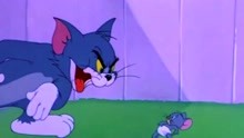 猫和老鼠：Tom太坏了，拿这么多鞭炮去炸“老鼠洞”