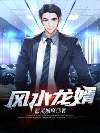 风水龙婿