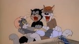 猫和老鼠：杰瑞魅力真大，只是亮了下腿，就来了三只猫！