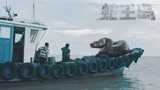 《蛇王岛》预告，泰坦巨蟒惊现，暴怒厮杀不速之客！