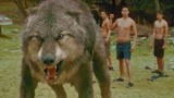 暮光之城2：贝拉激怒了狼人，谁想雅各布霸气变身救场，太帅了！