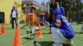 Tonton online Song Yuqi membawa anjing kuruskan badan (2021) Sarikata BM Dabing dalam Bahasa Cina