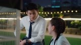 《我的砍价女王》付双双跟小猫说话 你心情不好呀