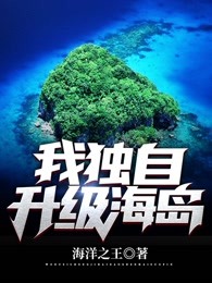 我独自升级海岛