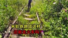 [图]云南米轨现状不容乐观，这些线路能走火车吗？