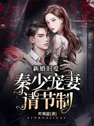 新婚旧爱：秦少宠妻请节制