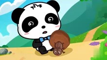宝宝巴士儿歌：小熊猫新朋友，一只屎壳郎，送礼不敢收！