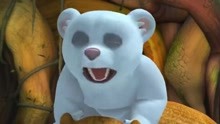 熊出没：小北极熊饿了，大狗熊居然不知道给它吃啥，真是无语
