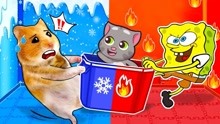 仓鼠的奇妙趣事：为了和汤姆猫玩，仓鼠PK海绵宝宝，谁会赢呢？