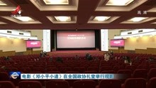 电影《邓小平小道》在全国政协礼堂举行观影