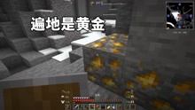 [图]更好的MC03：这个矿洞里就离谱，刷的黄金比煤和铁都多