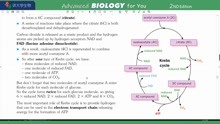 P305 Krebs cycle 常荣讲牛津大学生物BIOLOGY for You OXFORD