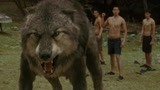 暮光之城2：贝拉惹怒狼人，雅各布霸气变身救场，这一幕太帅了！