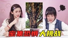 [图]密集恐惧症大挑战！密密麻麻的小颗粒，竟然还会动？看完全身发麻