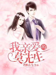 我亲爱的莫先生