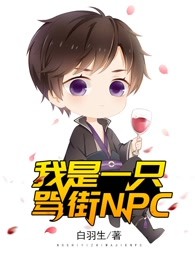 我是一只骂街NPC