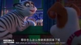 爱宠大机密2：小白带老虎溜进麦克家，到处搞破坏，搞得一团糟