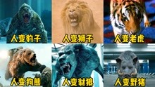[图]盘点六个版本的人变猛兽，你觉得哪个更厉害？人变狮子后大战大象