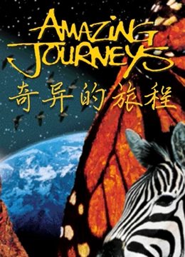 奇异的旅程}
