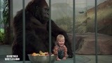 小鬼当街：萌娃躲进动物园，还让猩猩给自己当保镖，吓坏了大坏蛋