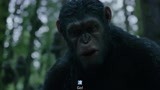 猩球崛起2：猿王竟能口吐人言，怒吼一声滚，吓得人类们腿都软了