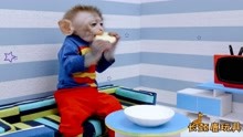 小猴子萌可 第5季 第29集 迷你超市
