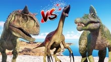 食人龙vs肉恐龙vs棘龙
