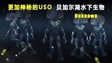 比UFO更加神秘的USO，贝加尔湖的水下“蛙人”，到底是什么？