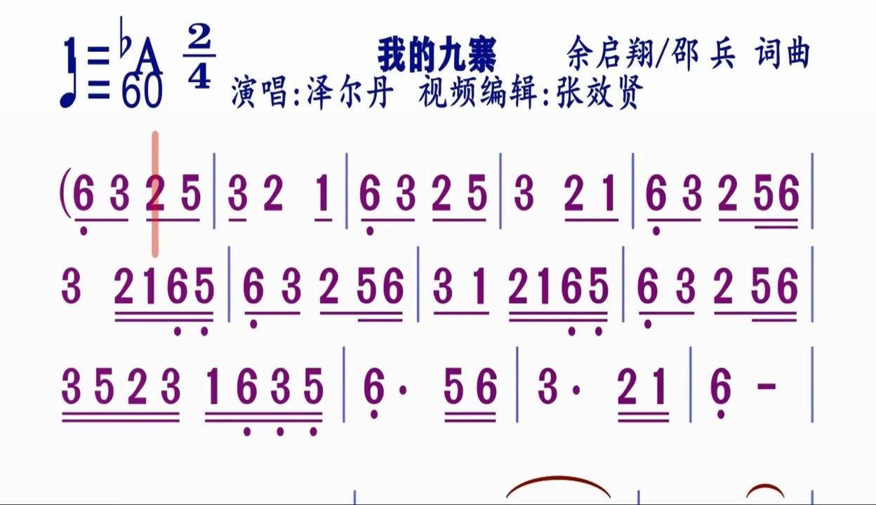 泽尔丹的个人资料图片